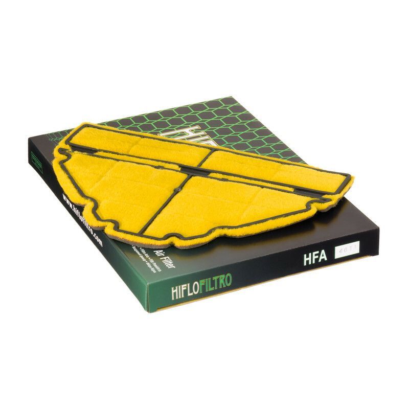 Filtro de Aire Hiflofiltro HFA4611