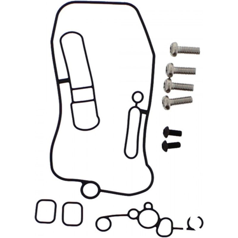 Kit de juntas tóricas FCR + tornillos Torx de carburador Tourmax