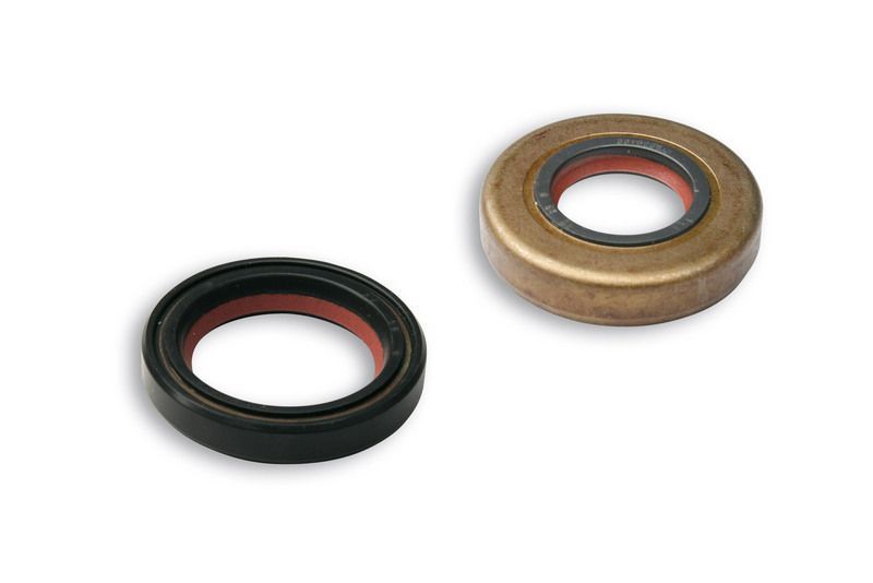 Juego de retenes de aceite MALOSSI FKM / PTFE - Minarelli AM6