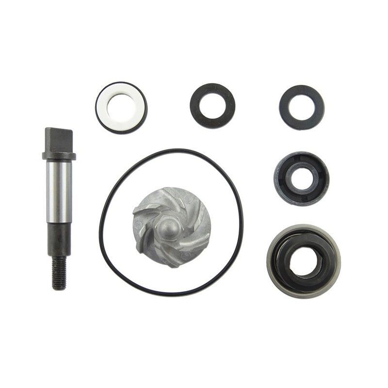 Set repara eje bomba de agua