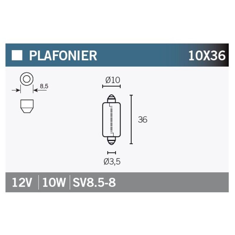 Caja de 10 lámparas SV8.5-8 12V10W