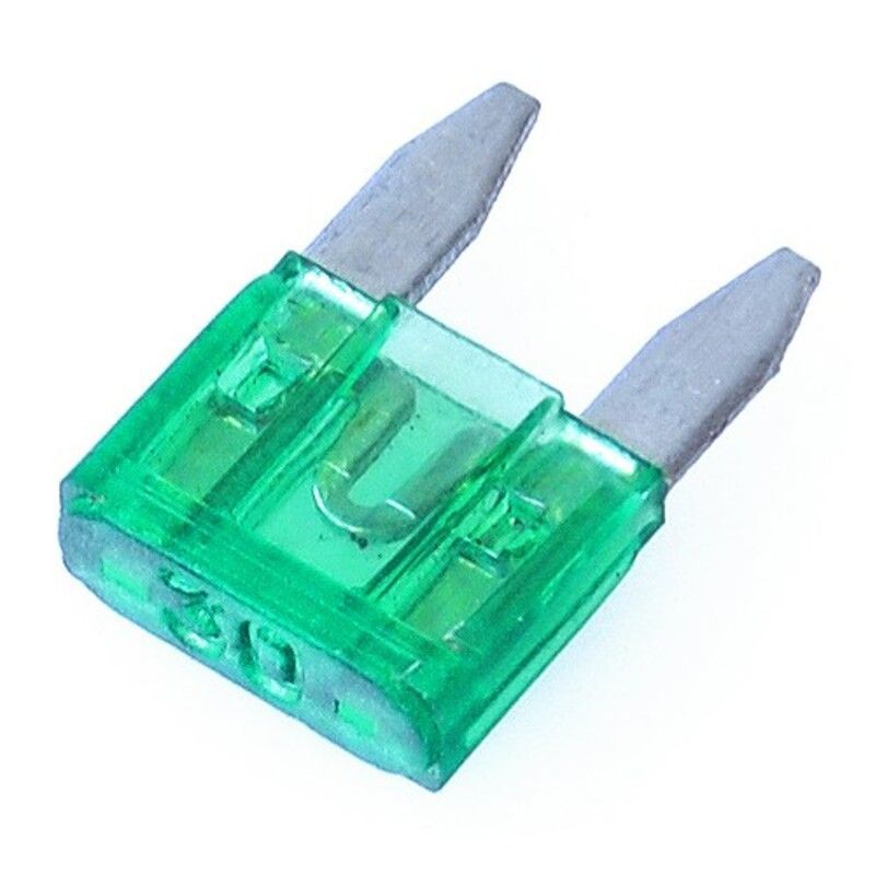 Caja de 100 fusibles a lama MINI 30A