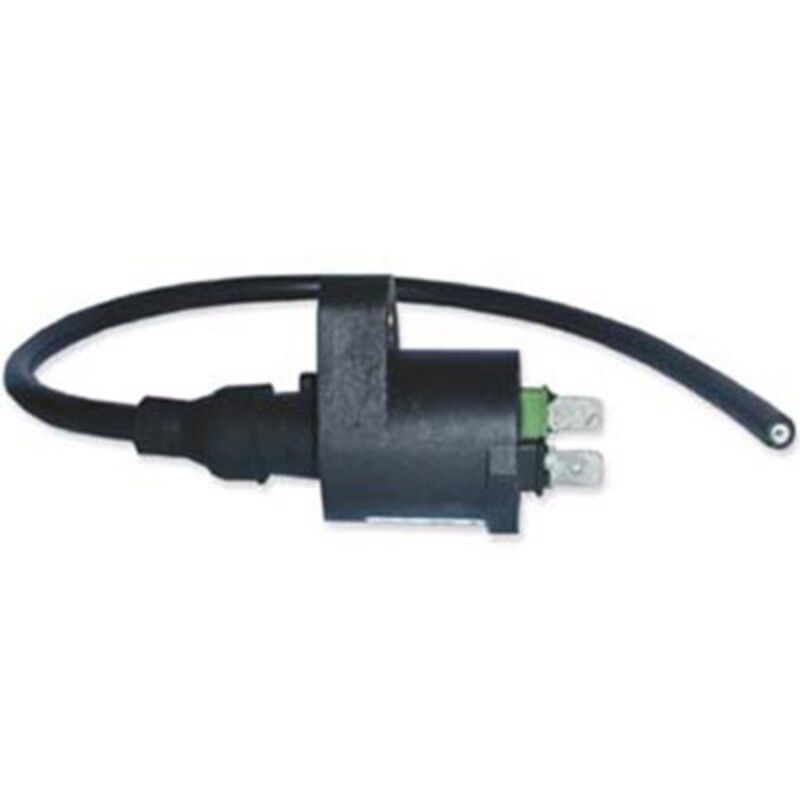 Bobina DZE 4019 TRX 250 Encendido elec. CDI