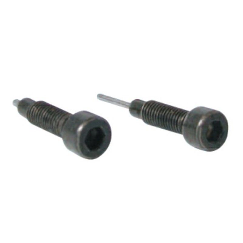 Set dos tornillos de recambio para herramienta cadenas distribución BUZZETTI