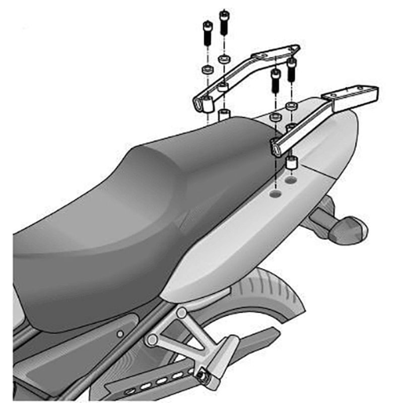TOP MASTER YAMAHA FAZER 600 01