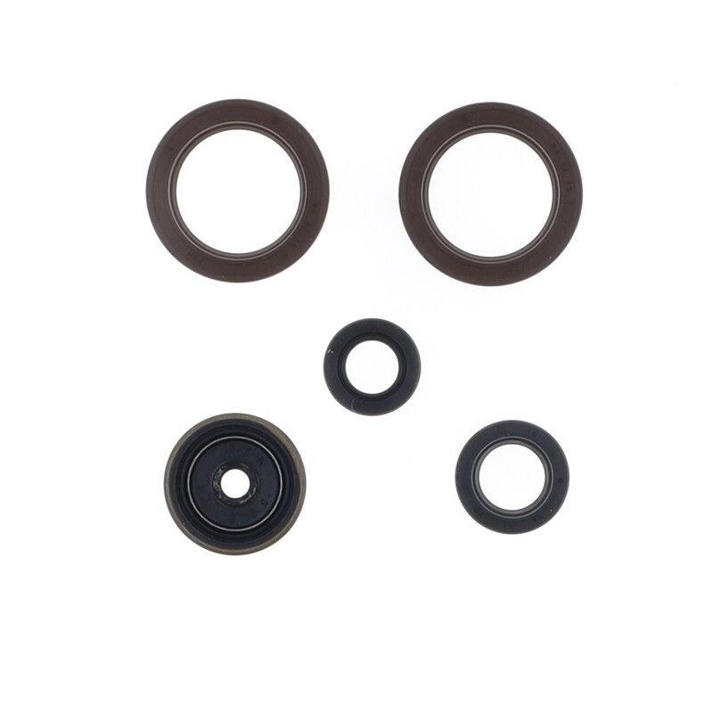Kit de retenes de motor CENTAURO