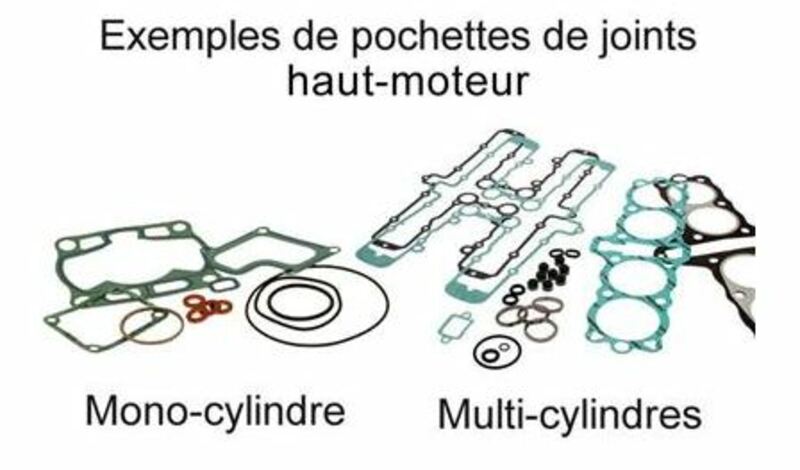 Kit completo de juntas CENTAURO