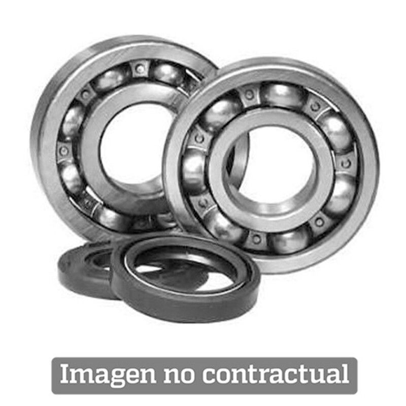 Kit rodamientos y retenes de cigüeñal All Balls 24-1111