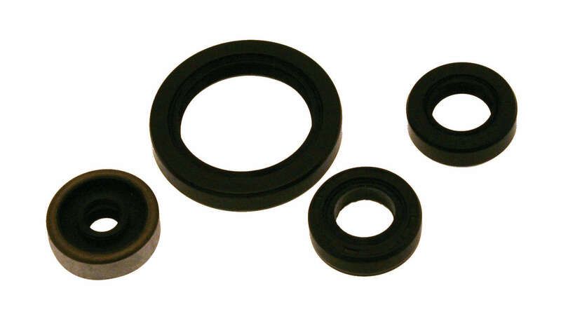 Kit de retenes de motor CENTAURO