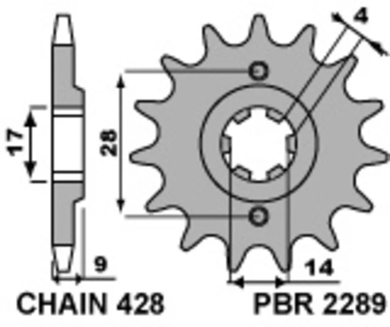 Piñón PBR acero estándar 2289 - 428