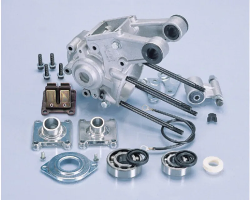 Cárter motor POLINI con soporte