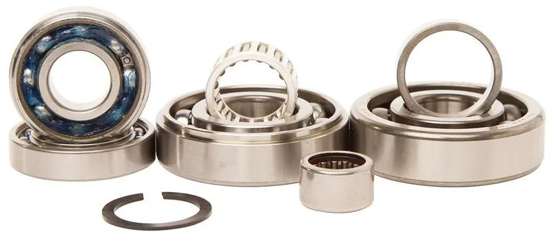 Kit rodamientos transmisión HOT RODS Kawasaki KX250