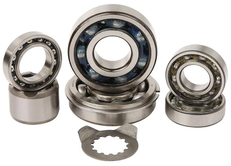 Kit rodamientos transmisión HOT RODS Yamaha YFM 660 Raptor