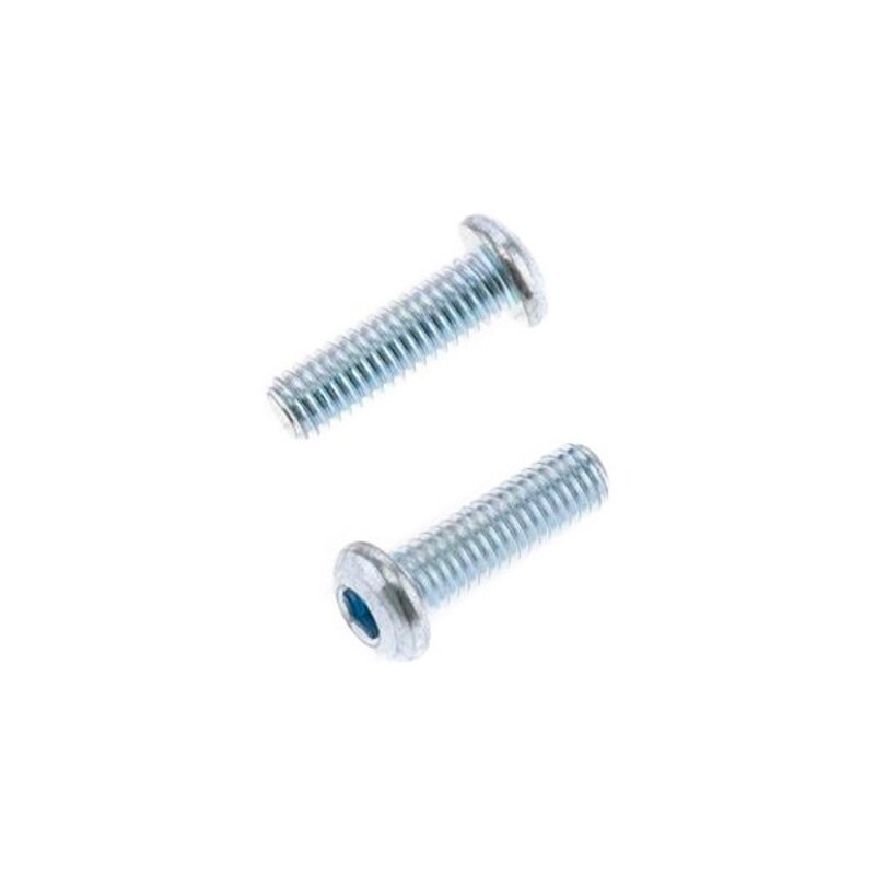 Pack 10 tornillos cabeza redonda gruesa BOLT M6 x 1 x 20mm