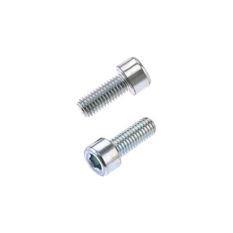 Pack 10 tornillos BTR BOLT M8 x 1,25 x 20mm