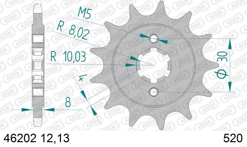 Piñón AFAM acero estándar 46202 - Paso 520