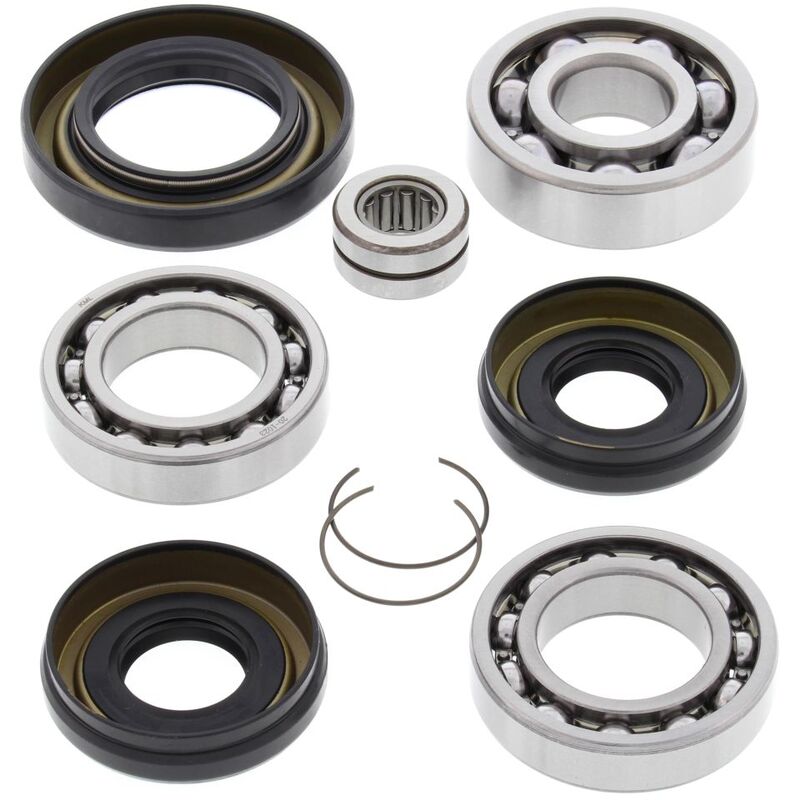 Kit rodamientos y retenes de diferencial delantero ALL BALLS