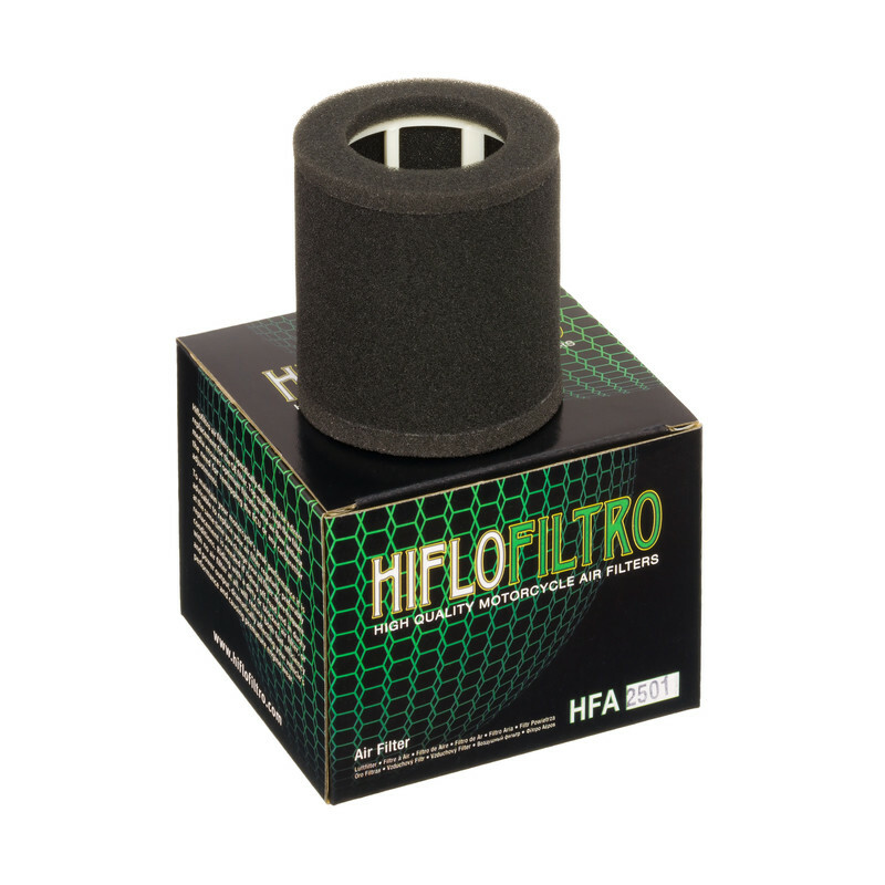 Filtro de aire HIFLOFILTRO - HFA2501