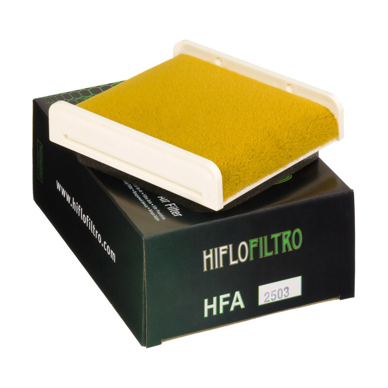 Filtro de aire HIFLOFILTRO - HFA2503