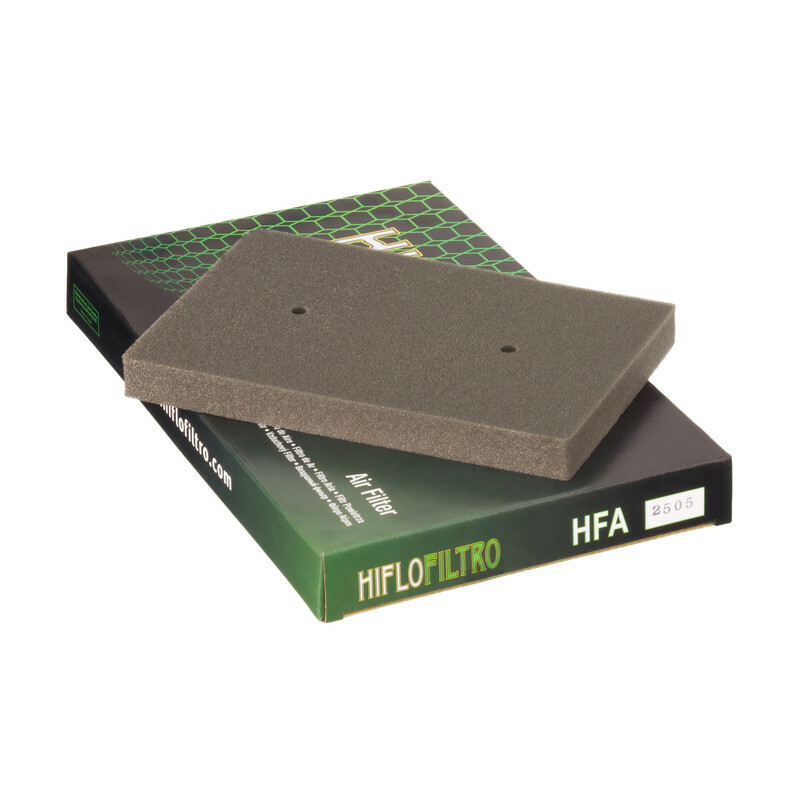 Filtro de aire HIFLOFILTRO - HFA2505