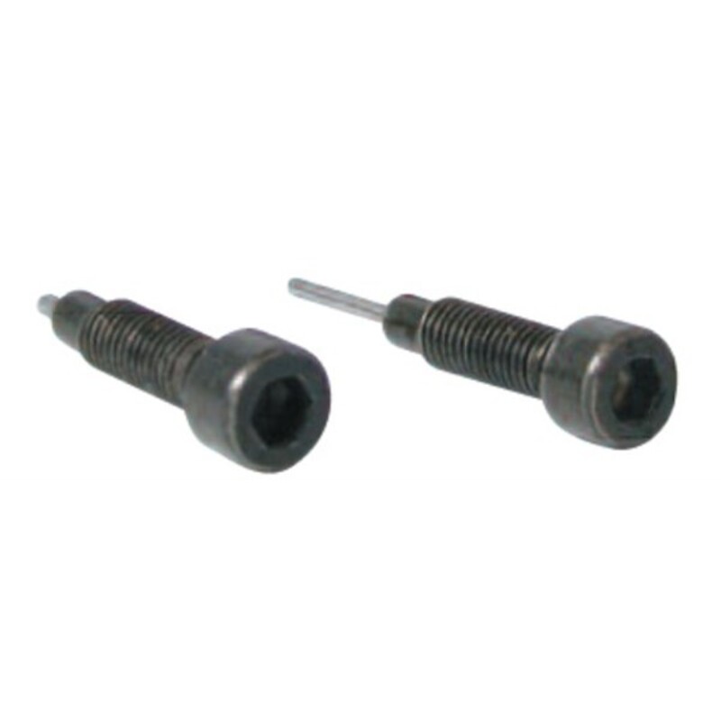Set dos tornillos de recambio para herramienta cadenas distribución BUZZETTI