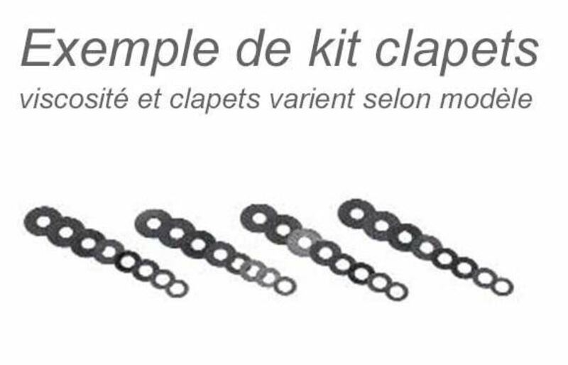 Kit mejora horquilla Racing Bitubo KFORK024WO