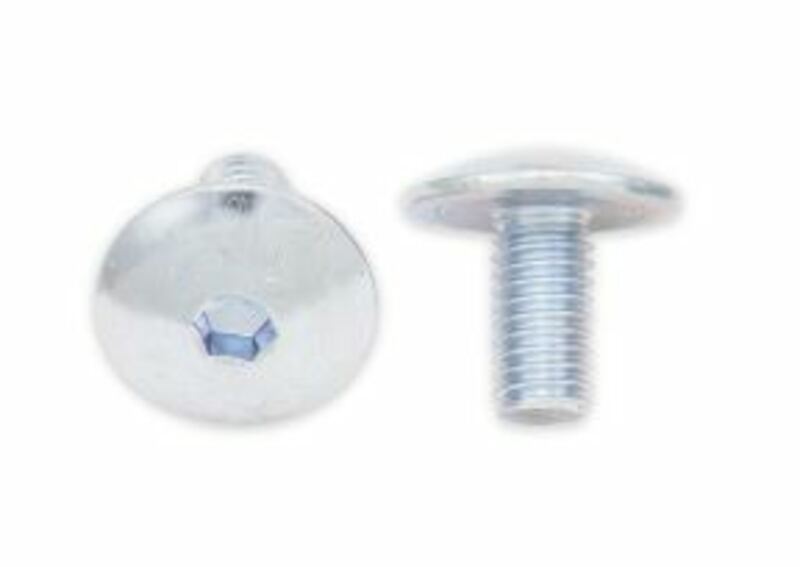 Pack 10 tornillos cabeza redonda plana BOLT M6 x 1,00 x 12mm